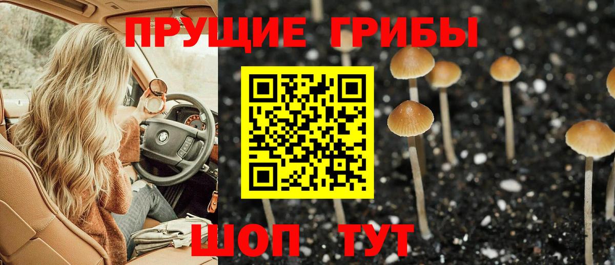 Псилоцибиновые грибы Magic Shrooms  Вход с VPN  Можайск 